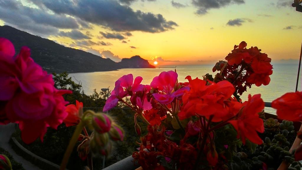 Framavi Villa Cefalù Dış mekan fotoğraf